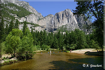 Merced River und Yosemite Falls